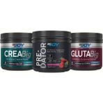 Bigjoy Sports Pre-Dator( Preworkout )Orman Meyveli 289G+ GLUTABIG(GLUTAMIN)150 gr +CREABIG(KREATIN)120 gr (Aromasiz)