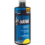 Bigjoy Sports Terminator L-Carnitine 3000 mg Limon Aroma 1000 ml L Karnitin Termojenik Kafein