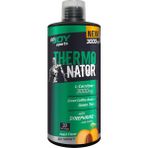 Bigjoy Sports Terminator L-Carnitine 3000 mg Şeftali Aroma 1000 ml L Karnitin Termojenik Kafein