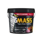 BIGMASS Gainer GH FACTORS Mix Aroma 5000g