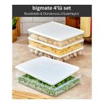 Bigmate BGMT2525 4'lü Şeffaf Saklama Kabı 4x2,5 Lt Mikrodalga Buzdolabı ve Dondurucu Uyumlu düzenleyici - Beyaz