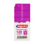 Bigpoint 0.5 mm 2b 120'li Tüp Mor Kalem Ucu