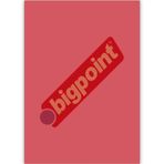 Bigpoint 150 Mikron Şeffaf Kırmızı A4 Cilt Kapağı