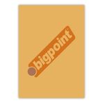 Bigpoint 150 Mikron Şeffaf Turuncu A4 Cilt Kapağı