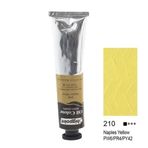 Bigpoint 210 Naples Yellow 200 ML Yağlı Boya