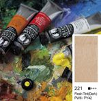 Bigpoint 221 Flesh Tint Dark 45 ml Cezanne Extra Fine 6'lı Yağlı Boya