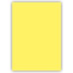 Bigpoint 50x70 CM 120 GR 100LÜ Sarı Fon Kartonu