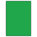 Bigpoint 50x70 cm 120 gr 100'lü Yeşil Fon Kartonu