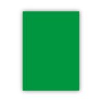Bigpoint 50x70 cm 120 gr Koyu Yeşil Fon Kartonu