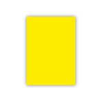 Bigpoint 50x70 CM 120 GR Limon Sarısı Fon Kartonu