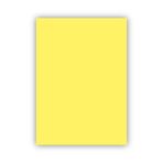 Bigpoint 50x70 CM 120 GR Sarı Fon Kartonu