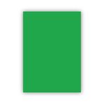 Bigpoint 50x70 CM 120 GR Yeşil Fon Kartonu