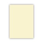 Bigpoint 50x70 cm 160 gr 100'lü Fildişi Fon Kartonu