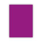 Bigpoint 50x70 cm 160 gr 100'lü Mor Fon Karton