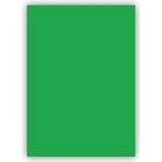 Bigpoint 50x70 CM 160 GR 100LÜ Yeşil Fon Kartonu