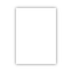 Bigpoint 50x70 CM 160 GR Beyaz Fon Kartonu