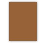 Bigpoint 50x70 cm 160 gr Kahverengi Fon Kartonu