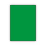 Bigpoint 50x70 cm 160 gr Koyu Yeşil Fon Kartonu