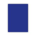 Bigpoint 50x70 cm 160 gr Lacivert Fon Kartonu