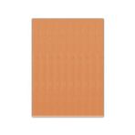 Bigpoint 50x70 cm 2 mm Ten Rengi 10'lu Keçe