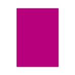 Bigpoint 50x70 cm Koyu Pembe Fosforlu Fon Kartonu