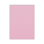 Bigpoint 50x70 cm Pembe 10'lu Eva Paketi