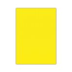 Bigpoint 50x70 cm Sarı 10'lu Eva