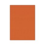 Bigpoint 50x70 cm Turuncu 10'lu Eva