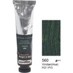 Bigpoint 560 Viridian 45 ml 6'lı Yağlı Boya