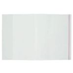 Bigpoint 5'li Paket 25'li Kutu Şeffaf A4 Hazır Defter Kabı