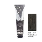 Bigpoint 690 Vandyke Brown 45 ml Cezanne Extra Fine Masters Yağlı Boya