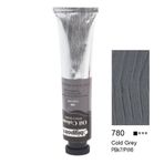 Bigpoint 780 Cold Grey 45 ml Cezanne Extra Fine Masters Yağlı Boya