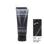 Bigpoint 797 Paynes Grey 75 ml Akrilik Boya
