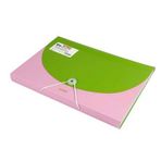 Bigpoint BP-265 Pembe 13 Cepli Körüklü A4 Dosya