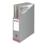 Bigpoint BP120-85 Gri Karton Kutu Klasör