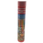 Bigpoint BP94112 12'li Metal Tüp Boya Kalemi