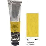 Bigpoint BPPO0645A-227 45 ML Yellow Mid Yağlı Boya