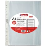 Bigpoint Eco 30 Mikron 100 lü Paket Poşet Dosya