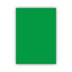 Bigpoint Fon Kartonu 50X70cm 120 Gram Koyu Yeşil X 100 Adet