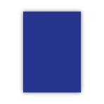 Bigpoint Fon Kartonu 50X70cm 120 Gram Lacivert X 100 Adet
