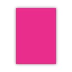 Bigpoint Fon Kartonu 50X70cm 120 Gram Pembe X 100 Adet