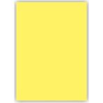 Bigpoint Fon Kartonu 50x70cm 120 Gram Sarı 100'lü Paket