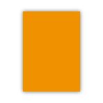 Bigpoint Fon Kartonu 50X70cm 120 Gram Turuncu X 100 Adet