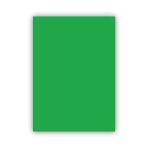 Bigpoint Fon Kartonu 50X70cm 120 Gram Yeşil X 100 Adet