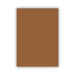 Bigpoint Fon Kartonu 50X70cm 160 Gram Kahverengi X 100 Adet