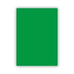 Bigpoint Fon Kartonu 50X70cm 160 Gram Koyu Yeşil X 100 Adet