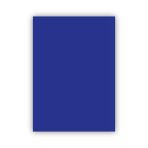 Bigpoint Fon Kartonu 50X70cm 160 Gram Lacivert X 100 Adet