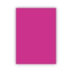 Bigpoint Fon Kartonu 50X70cm 160 Gram Lila X 100 Adet