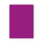 Bigpoint Fon Kartonu 50X70cm 160 Gram Mor X 100 Adet
