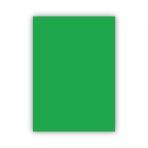 Bigpoint Fon Kartonu 50X70cm 160 Gram Yeşil X 100 Adet